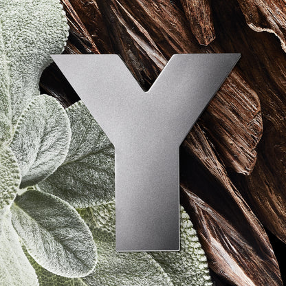 Y Men Edp 60 ml